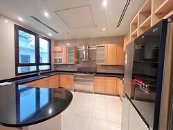 Ardmore Park (D10), Condominium #503949901